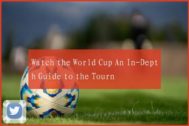 Watch the World Cup An In-Depth Guide to the Tourn
